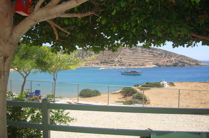 The restaurant